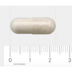 AOV 1203 Probiotica Complex -Gezondheidssupplementen 1021865 4