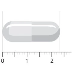 Vitals Acetyl-l-carnitine 500 Mg -Gezondheidssupplementen 1023935 4