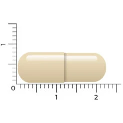 Vitakruid Geheugenformule -Gezondheidssupplementen 1023998 4