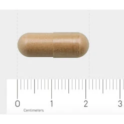 AOV 828 Salvia-extract -Gezondheidssupplementen 1029464 4