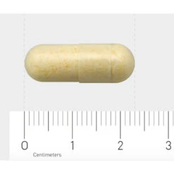 AOV 913 Glutamine-, Glycine- & Cysteïnecomplex -Gezondheidssupplementen 1029477 4