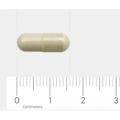 AOV 1106 Bèta 1,3 Glucaan 7 AOV 1106 Bèta 1,3 Glucaan -Gezondheidssupplementen 1029491 4