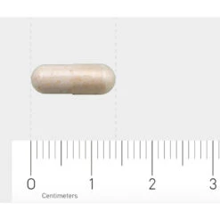 AOV 1201 Probiotica 4 Miljard -Gezondheidssupplementen 1029498 4