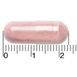 Blase Berry Cranberry & Solidago 6 Blase Berry Cranberry & Solidago -Gezondheidssupplementen 1030044 3