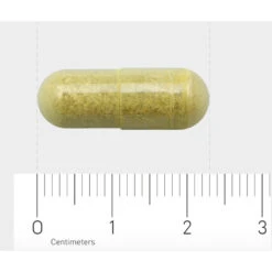 AOV 816 Quercetine-extract (500 Mg) -Gezondheidssupplementen 1030206 4