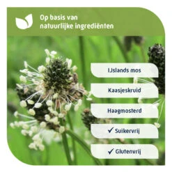2x Natterman Direct Voor Alle Hoest Suikervrij -Gezondheidssupplementen 1041564 5