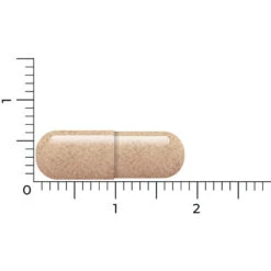 Vitakruid Lactoferrine 150 Mg -Gezondheidssupplementen 1054157 4