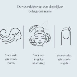 Premium Collageen Hydrolysaat Poeder Met Vitamine C En Hyaluronzuur Sinaasappelsmaak -Gezondheidssupplementen 1055226 4