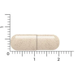 Vitakruid Ashwagandha Ksm -Gezondheidssupplementen 1057979 5