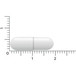 Vitakruid Lactase Optiferm 3000 Fcc 9 Vitakruid Lactase Optiferm 3000 Fcc -Gezondheidssupplementen 1058191 5