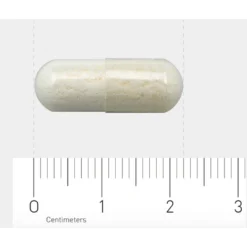 Orthica Orthiflor Basic -Gezondheidssupplementen 706025 4