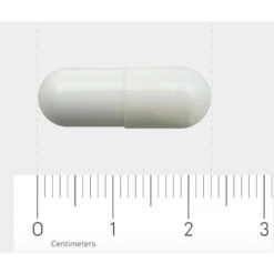 Orthica L-Glutamine-500 -Gezondheidssupplementen 709573 4