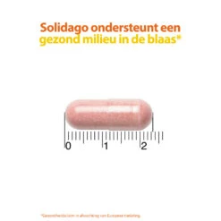 Roter Cystiberry 7 Roter Cystiberry -Gezondheidssupplementen 962279 4