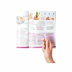 Vitility Vergrootglas Angular -Gezondheidssupplementen 989872 3