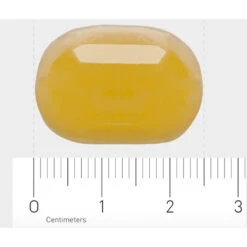 Orthica Dino Omega 3 -Gezondheidssupplementen 996802 4