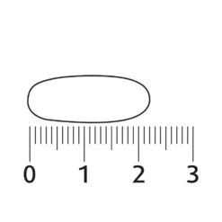 Lucovitaal Geheugen & Concentratie -Gezondheidssupplementen 997138 4